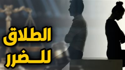 زوجة فى دعوى طلاق للضرر: تزوج دون علمي من 3 عرفيا