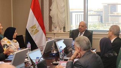 عصمت: إعادة هيكلة الشركة المصرية كمشغل مستقل لمنظومة نقل الكهرباء