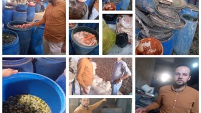 ضبط ٣ طن ملح مغشوش و٥٢٤ كيس برجر ومخلل غير صالح بالقليوبية