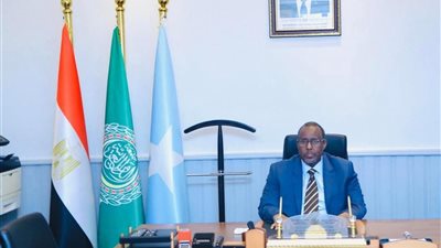 السفير الصومالي يشيد بدعم مصر وإريتريا