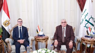 رئيس مجلس الدولة يستقبل وزير الاستثمار والتجارة الخارجية
