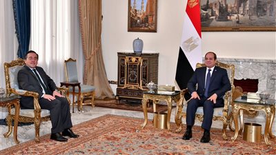 الرئيس السيسى يستقبل وزير الخارجية الإسبانى