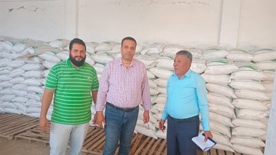 %50 تخفيض في اسعار تقاوي الشعير المطري بمطروح