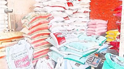 ضبط 4 طن بذرة قطن وعلف حيواني مجهول المصدر بمخزن بالقليوبية