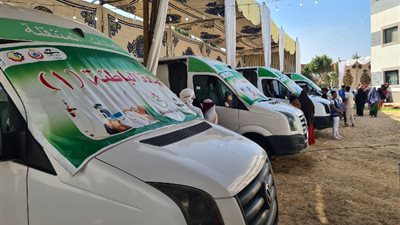 الاثنين قافلة طبية بقرية رزق درويش غرب النوبارية