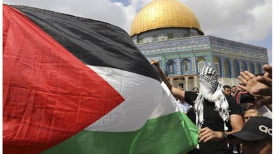 خبير: مصر نجحت في وقف مخطط إنهاء القضية الفلسطينية
