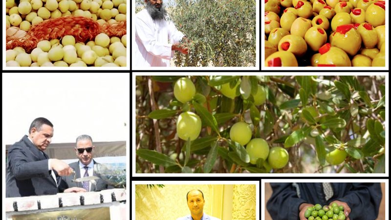 مصر رقم 1 عالميا