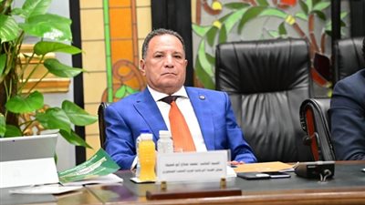 أبو هميلة: توجيهات الرئيس للحكومة بمراجعة شروط صندوق النقد الدولي لتخفيف الأعباء الاقتصادية على المواطنين