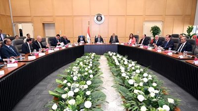 الأسبوع المقبل.. لقاء بين الكهرباء والإسكان لرصد مشكلات المستثمرين