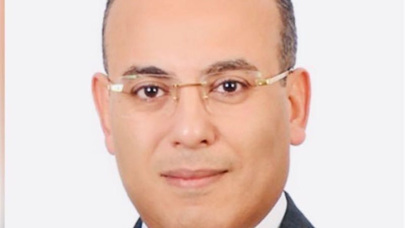 السفير أحمد فهمي