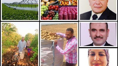روشتة علمية من خبراء الاقتصاد الزراعي..للسيطرة علي الأسواق