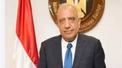عصمت يعترف بحيل سارقي الكهرباء ويصر على استرداد حق الدولة