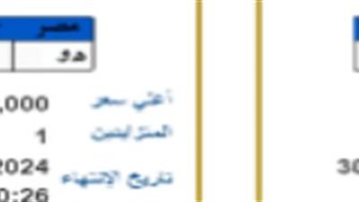 لوحات معدنية مميزة تدخل المنافسة والمزايدة تصل لمليون جنيه