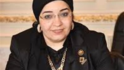 عريبي: مشروع قانون مجلس التعليم يسهم فى بناء الشخصية المصرية