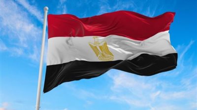 مصر تدين الهجوم الإرهابي على قاعدة عسكرية للجيش التشادي