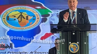 رئيس الدستورية العليا يشارك فى مؤتمر الهيئات القضائية الأفريقية
