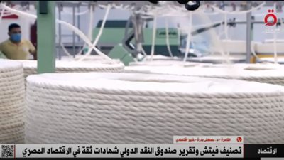 خبير: تقرير«فيتش» يؤكد التحسن الكبير في قدرات مصر الاقتصادية