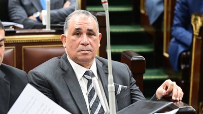 علام أمام مجلس النواب: المحاماة شريك للسلطة القضائية في تحقيق العدالة وسيادة القانون