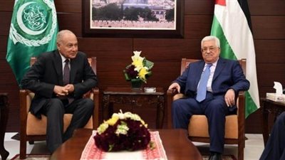 أبو الغيط و