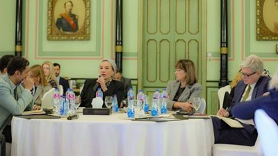 وزيرة البيئة تطالب شركاء التنمية بتكرارنموذج تقليل المخاطر للطاقة