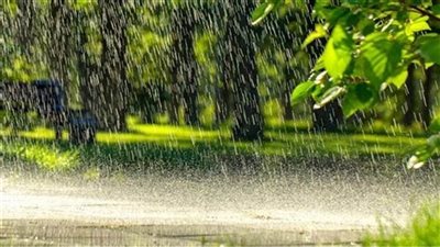 مطر وربٌ مجيب اللهم كل مافي قلوبنا