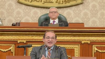 كلمة وزير المالية خلال بيانه أمام مجلس النواب