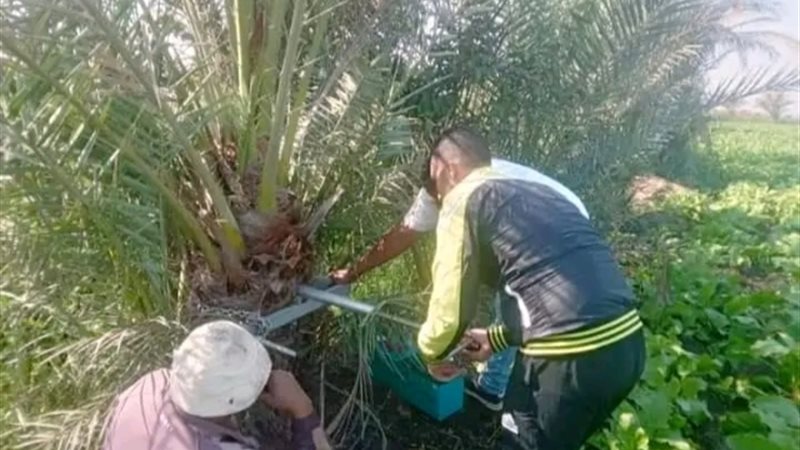بوابة الجمهورية