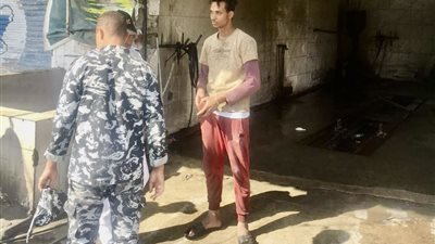 تحرير 15 محضرا بيئيا بنطاق مدينة الإسماعيلية لمحال غسيل السيارات