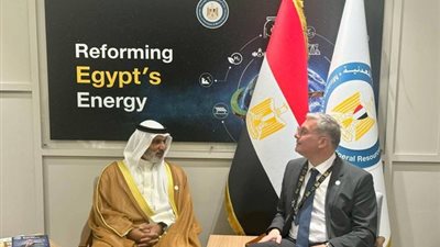 جلسة مباحثات لوزير البترول مع أمين عام منظمة 