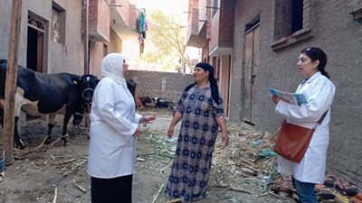 تحصين 5750 رأس ماشية ضد مرضي الحمى القلاعية بالفيوم