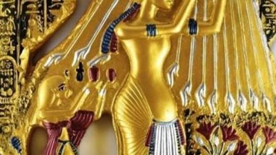 علمتني المحنة.. المعروف لا يضيع