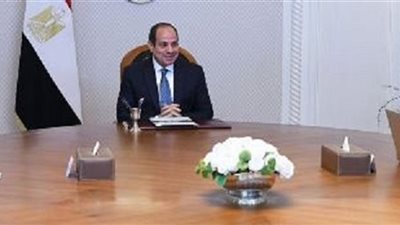 الرئيس يطلع على جهود قطاع الطيران لمواكبة النمو المستمر بحجم السياحة الوافدة لمصر