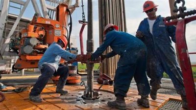 خطوات إنشاء شركة مع شريك أجنبي في مصر عبر البوابة الإلكترونية