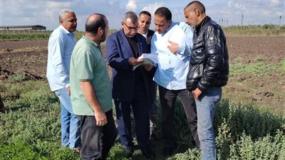 لجان حماية الأراضى بالإدارة المركزية تتابع تراخيص البناء بالبحيرة