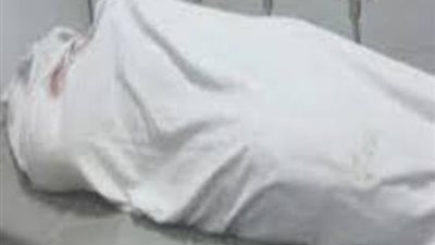 قتل عمته لسرقة أموالها في روض الفرج