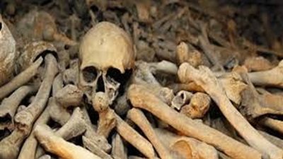 ما كيفية التعامل مع الهياكل العظمية فى المقابر