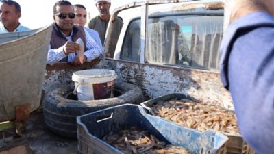 بعد انقطاع.. 