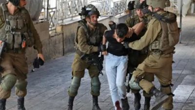 الاحتلال يعتقل 12 فلسطينيا على الأقل في الضفة الغربية