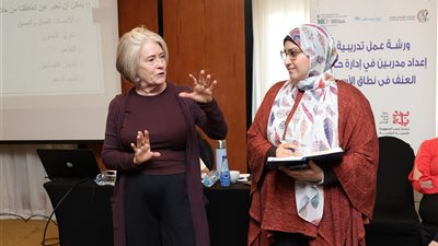 قومي المرأة ينظم ورشة تدريبية حول إدارة حالات العنف في نطاق الأسرة