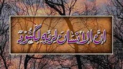 إن الإنسان لربه لكنود فمن هو