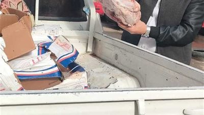 تحرير 1200 محضر وضبط أغذية فاسدة في حملة لمباحث تموين الجيزة