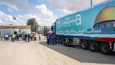 مصر تواصل تأمين وإدخال قوافل المساعدات الإنسانية إلى غزة