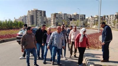 رئيسة جهاز الشيخ زايد تعلن موعد تسليم 1416 وحدة سكنية.. بالصور