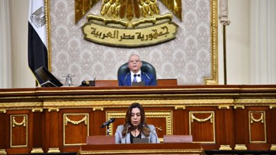 التنمية المحلية : رفع 6 ملايين طن من التراكمات التاريخية للمخلفات