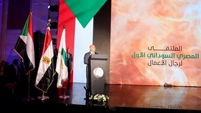 كامل الوزير يؤكد أهمية تعميق الاستثمار الصناعي بين مصر والسودان