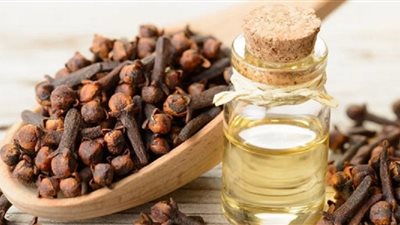 كيف تستخدم زيت القرنفل لتخفيف آلام الأسنان؟ إليك الطريقة الصحيحة