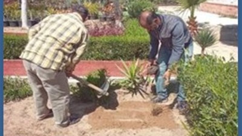 بوابة الجمهورية