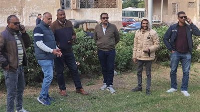 رئيس جهاز بدر يعلن تفاصيل أحدث أعمال الزراعة والنظافة بالمدينة.. صور