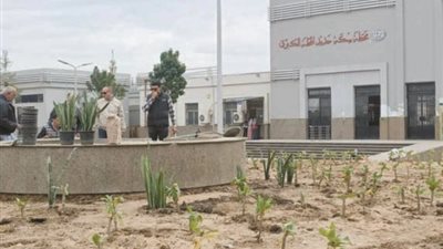 وداعًا للباعة الجائلين.. 