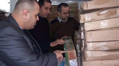 ضبط 7,5 طن اسماك مجمدة ولحوم غير صالحة بالاسكندرية
